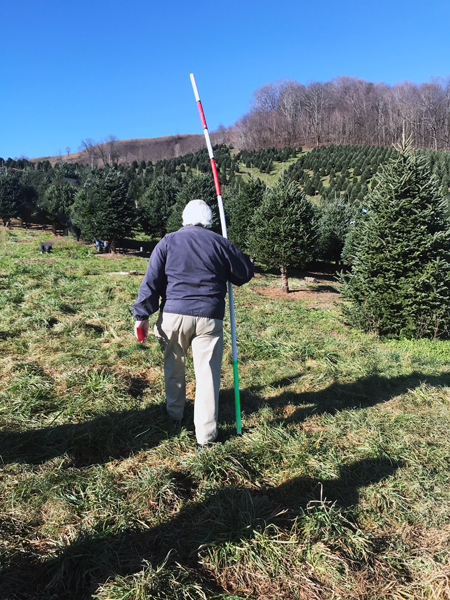Lee Duquette and his Christmas pole